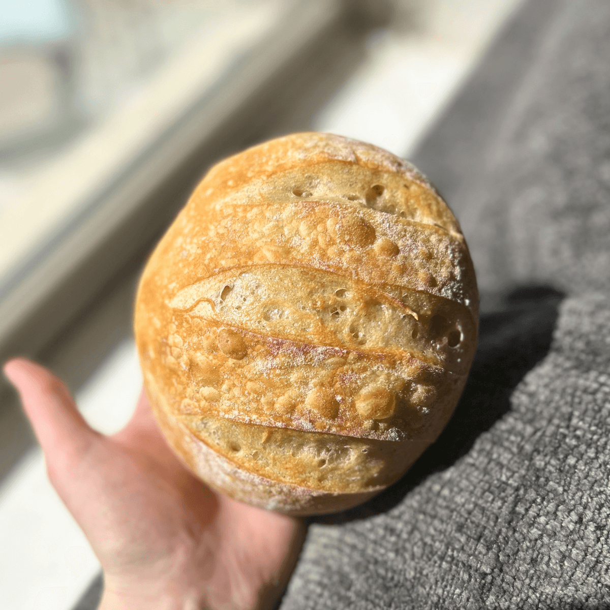 Classic Sourdough Loaf — Miniature